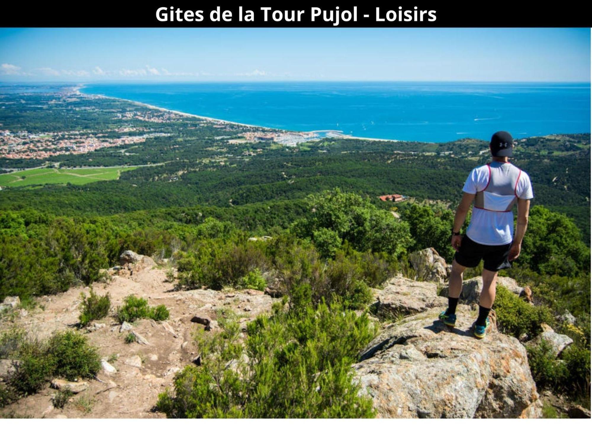 Les Gites De La Tour Pujol Argelès-sur-Mer Exteriör bild