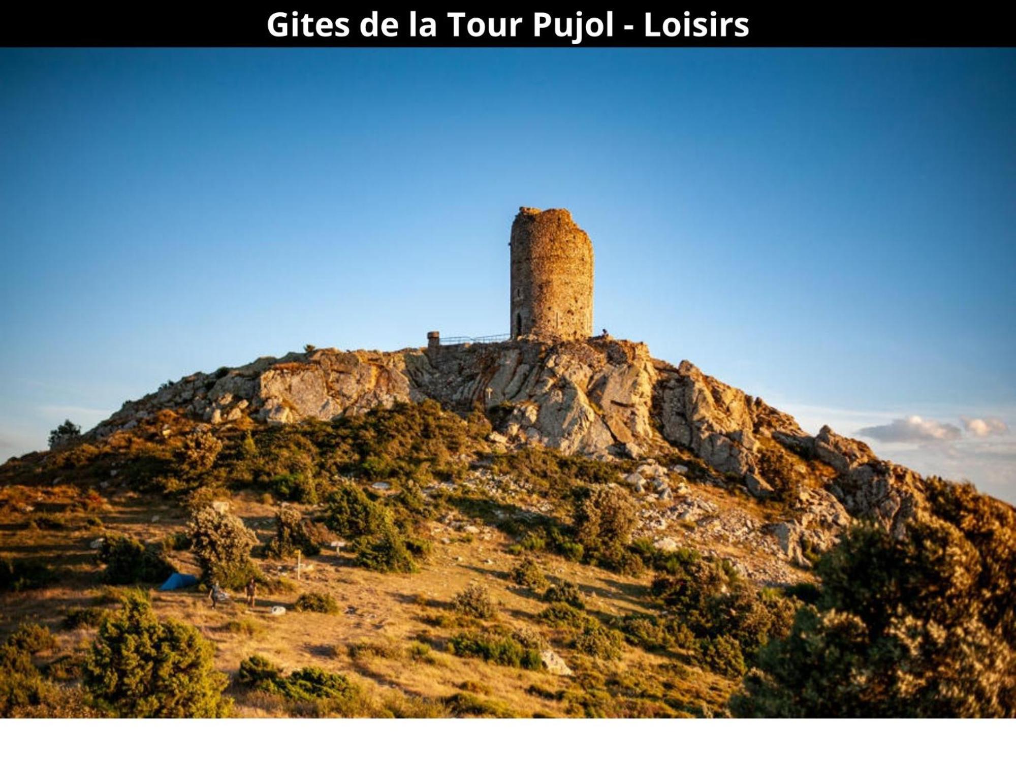 Les Gites De La Tour Pujol Argelès-sur-Mer Exteriör bild