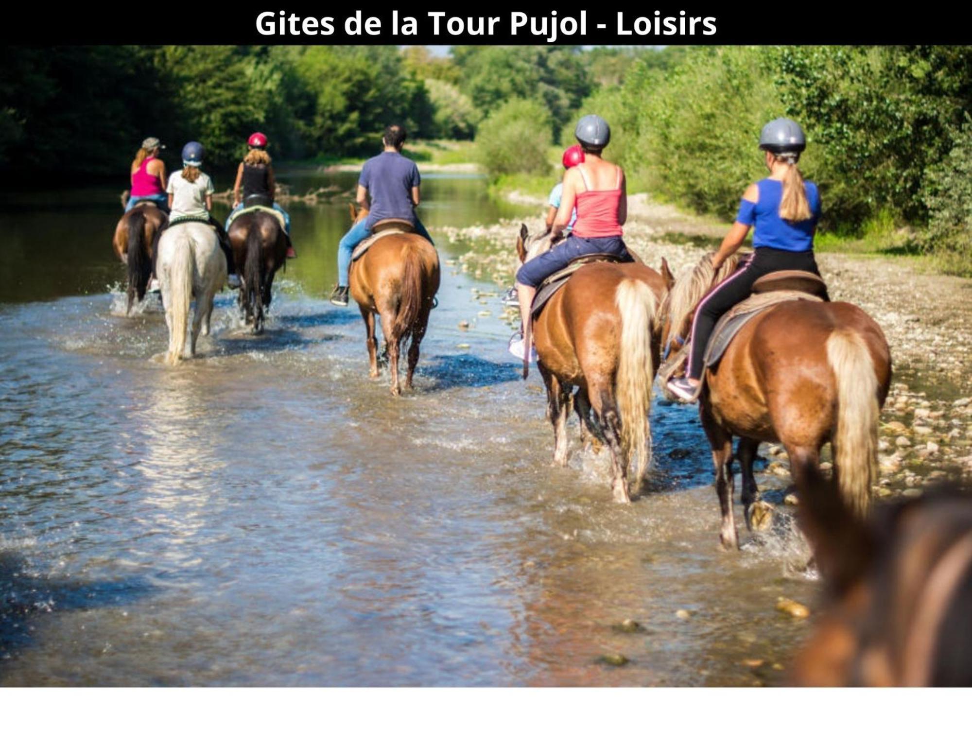 Les Gites De La Tour Pujol Argelès-sur-Mer Exteriör bild