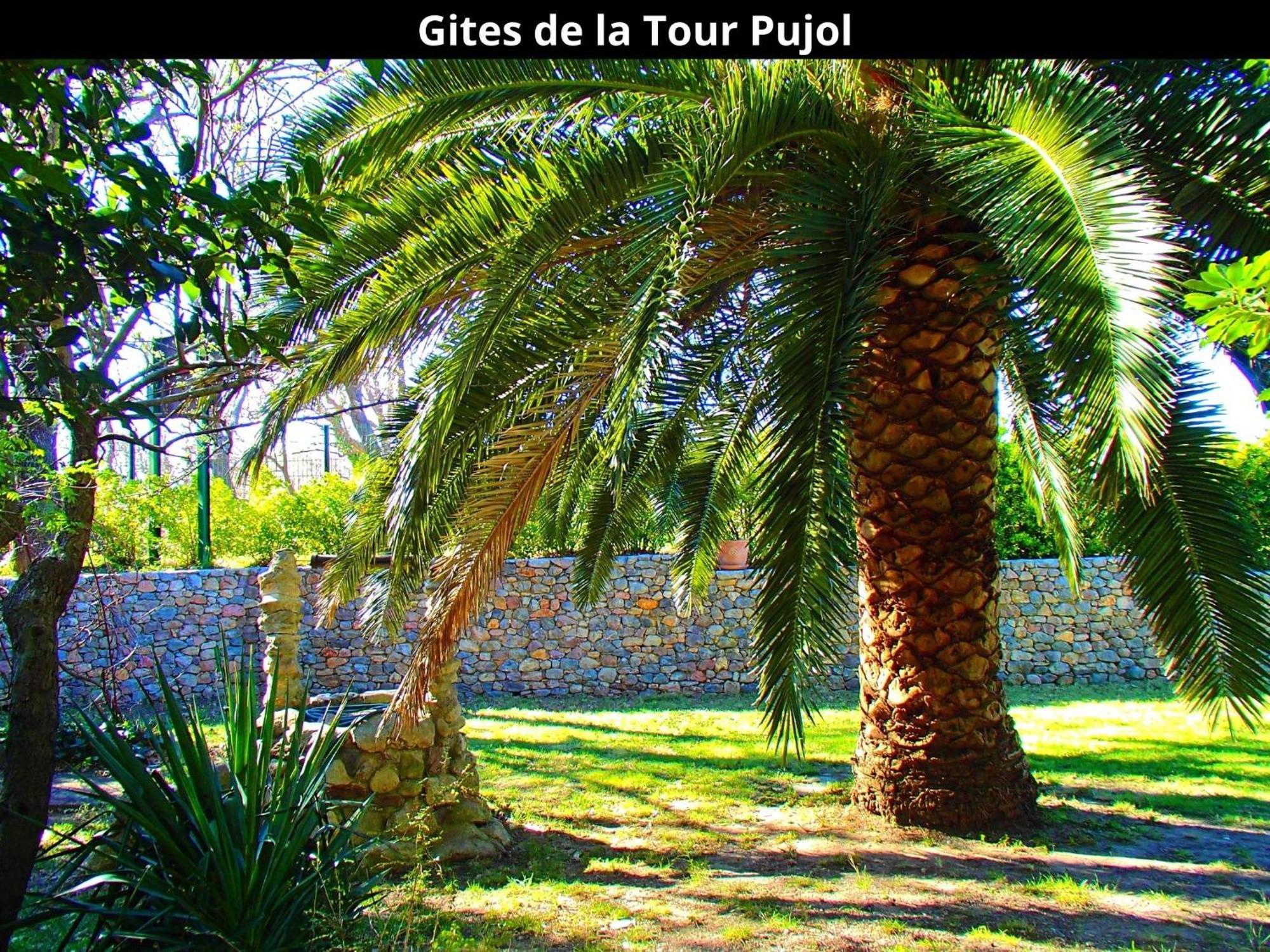 Les Gites De La Tour Pujol Argelès-sur-Mer Exteriör bild